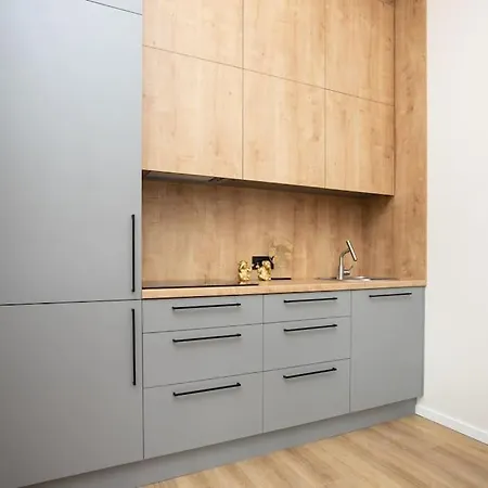 Bright And 2-room Flat Near The Old Town Riga