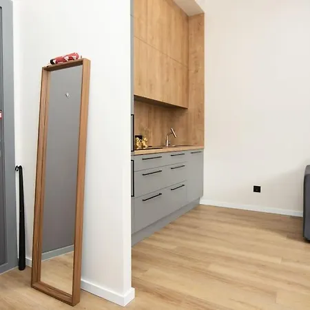 Bright And 2-room Flat Near The Old Town